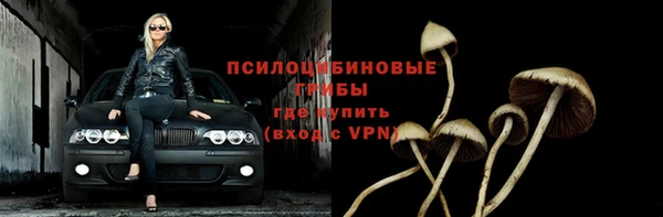 меф Ладушкин