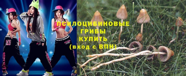 хмурый Протвино