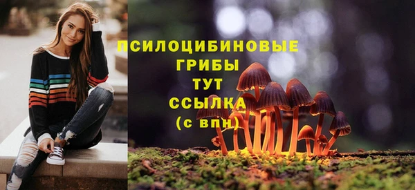 кокс Иннополис
