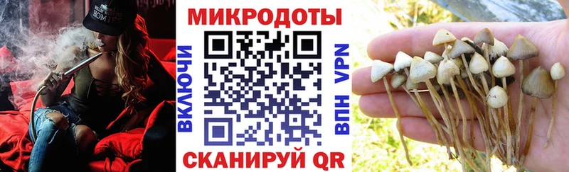 Галлюциногенные грибы MAGIC MUSHROOMS  MEGA вход  Советск  закладка 