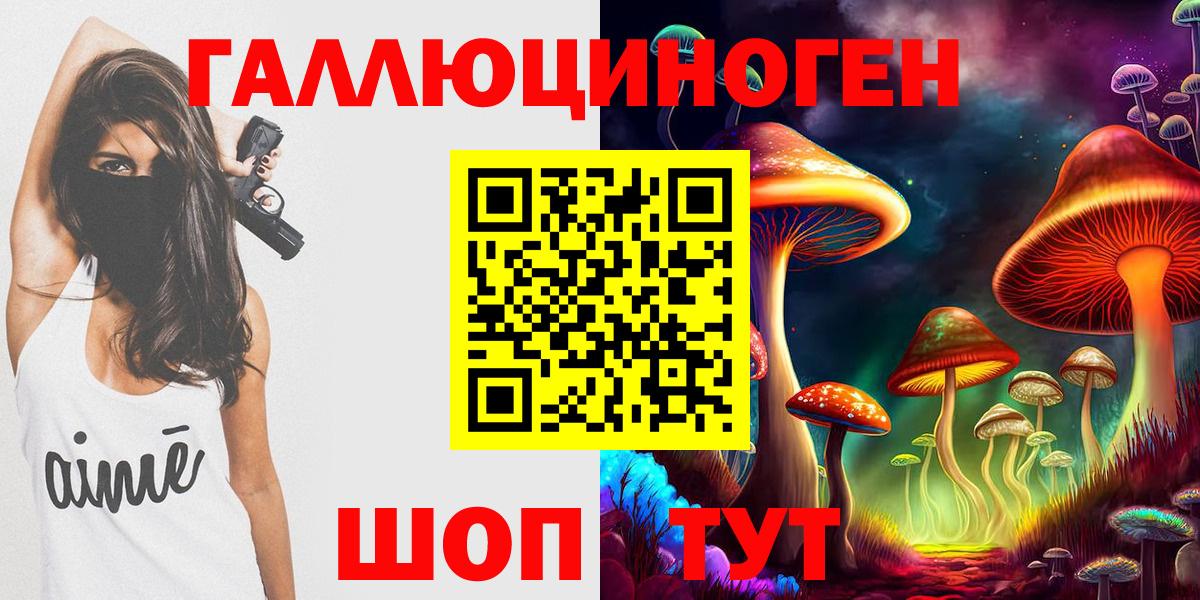 Советск  Псилоцибиновые грибы Psilocybine cubensis  Вход с VPN 